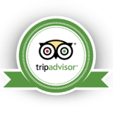 Trip Advisor Logo